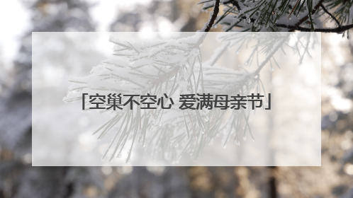 空巢不空心 爱满母亲节