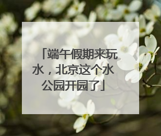 端午假期来玩水，北京这个水公园开园了