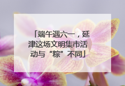 端午遇六一，延津这场文明集市活动与“粽”不同