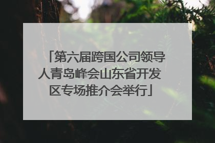第六届跨国公司领导人青岛峰会山东省开发区专场推介会举行