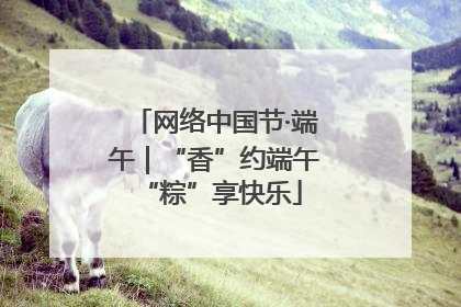 网络中国节·端午｜“香”约端午 “粽”享快乐