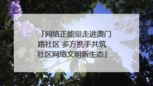 网络正能量走进澳门路社区 多方携手共筑社区网络文明新生态