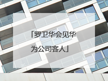 罗卫华会见华为公司客人