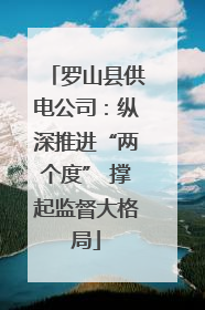 罗山县供电公司：纵深推进“两个度” 撑起监督大格局