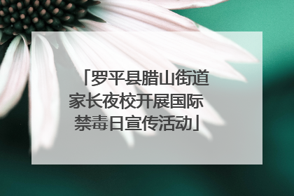 罗平县腊山街道家长夜校开展国际禁毒日宣传活动