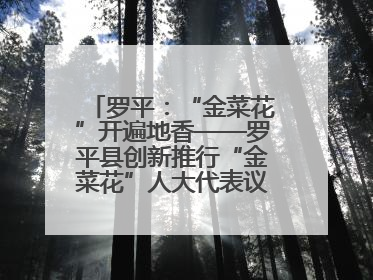 罗平：“金菜花”开遍地香——罗平县创新推行“金菜花”人大代表议事会履职行动
