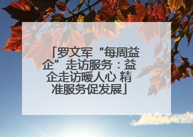 罗文军“每周益企”走访服务：益企走访暖人心 精准服务促发展