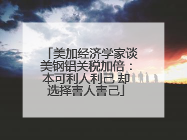 美加经济学家谈美钢铝关税加倍：本可利人利己 却选择害人害己
