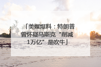 美媒爆料：特朗普曾怀疑马斯克“削减1万亿”是吹牛