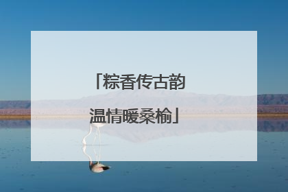 粽香传古韵 温情暖桑榆