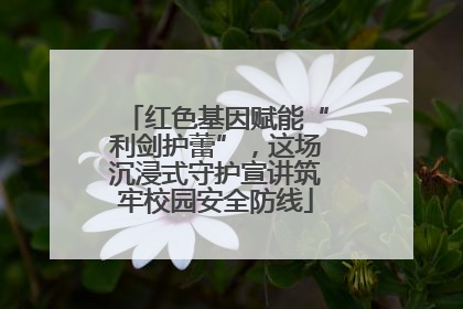 红色基因赋能“利剑护蕾”，这场沉浸式守护宣讲筑牢校园安全防线