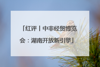 红评丨中非经贸博览会：湖南开放新引擎