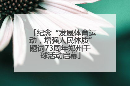 纪念“发展体育运动，增强人民体质”题词73周年郑州手球活动启幕