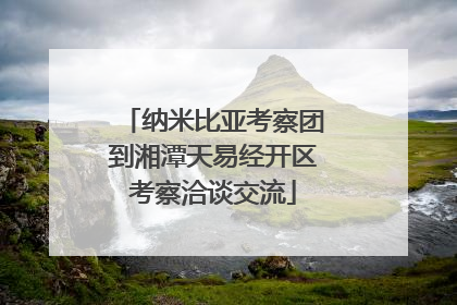 纳米比亚考察团到湘潭天易经开区考察洽谈交流