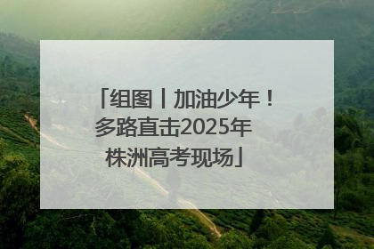 组图丨加油少年！多路直击2025年株洲高考现场