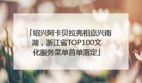 绍兴阿卡贝拉亮相嘉兴南湖，浙江省TOP100文化服务菜单首单落定