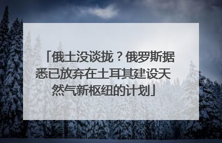 俄土没谈拢？俄罗斯据悉已放弃在土耳其建设天然气新枢纽的计划