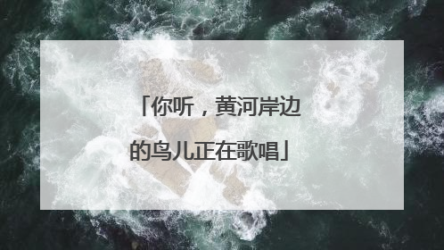 你听，黄河岸边的鸟儿正在歌唱