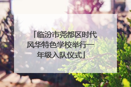 临汾市尧都区时代风华特色学校举行一年级入队仪式