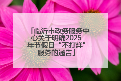 临沂市政务服务中心关于明确2025年节假日“不打烊”服务的通告