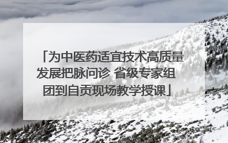 为中医药适宜技术高质量发展把脉问诊 省级专家组团到自贡现场教学授课