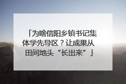 为啥信阳乡镇书记集体学先导区？让成果从田间地头“长出来”