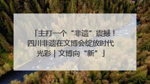 主打一个“非遗”震撼！四川非遗在文博会绽放时代光彩｜文博向“新”
