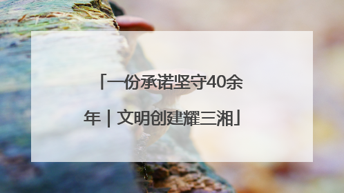 一份承诺坚守40余年｜文明创建耀三湘