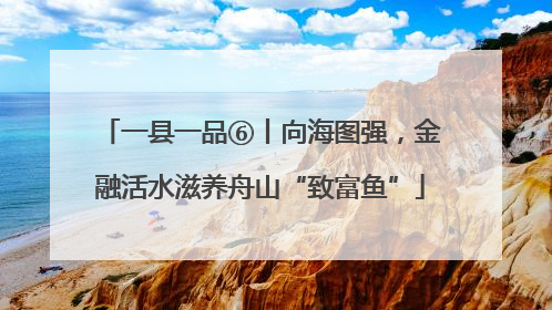 一县一品⑥丨向海图强，金融活水滋养舟山“致富鱼”