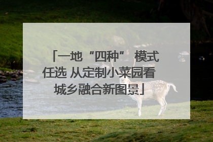 一地“四种” 模式任选 从定制小菜园看城乡融合新图景