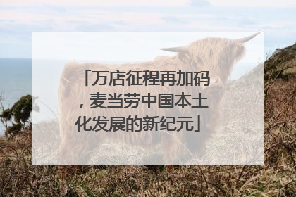 万店征程再加码，麦当劳中国本土化发展的新纪元