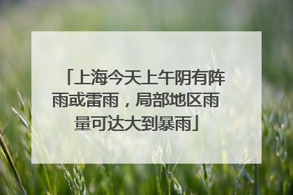 上海今天上午阴有阵雨或雷雨，局部地区雨量可达大到暴雨