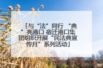 与“法”同行 “典”亮港口 宿迁港口集团组织开展“民法典宣传月”系列活动