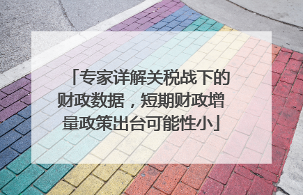 专家详解关税战下的财政数据，短期财政增量政策出台可能性小
