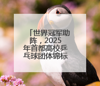 世界冠军助阵，2025年首都高校乒乓球团体锦标赛举行