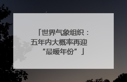 世界气象组织：五年内大概率再迎“最暖年份”