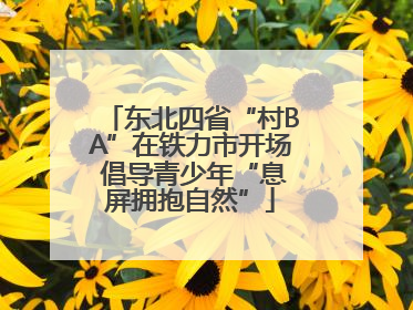 东北四省“村BA”在铁力市开场 倡导青少年“息屏拥抱自然”