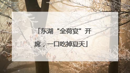 东湖“全荷宴”开席，一口吃掉夏天