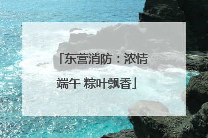 东营消防：浓情端午 粽叶飘香