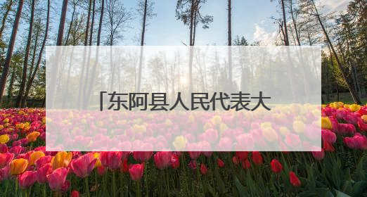 东阿县人民代表大会常务委员会公告