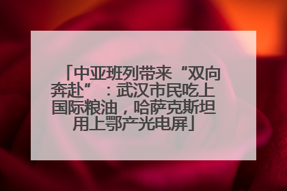 中亚班列带来“双向奔赴”：武汉市民吃上国际粮油，哈萨克斯坦用上鄂产光电屏