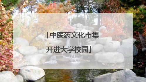 中医药文化市集开进大学校园