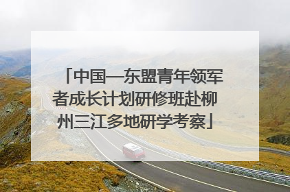 中国—东盟青年领军者成长计划研修班赴柳州三江多地研学考察