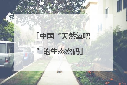 中国“天然氧吧”的生态密码