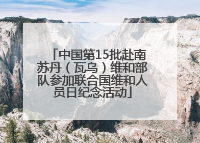 中国第15批赴南苏丹（瓦乌）维和部队参加联合国维和人员日纪念活动