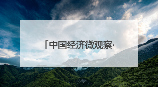 中国经济微观察·专家谈构：筑抵御外部风险制度防线 为民营企业保驾护航