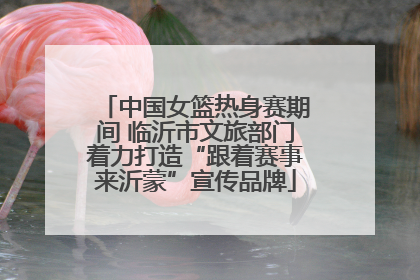 中国女篮热身赛期间 临沂市文旅部门着力打造“跟着赛事来沂蒙”宣传品牌
