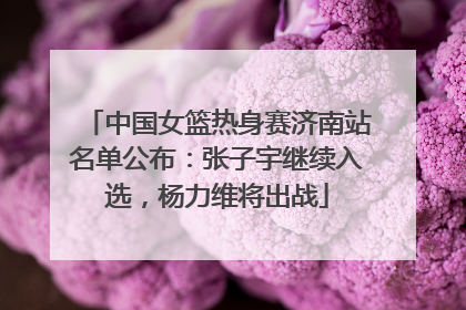 中国女篮热身赛济南站名单公布：张子宇继续入选，杨力维将出战