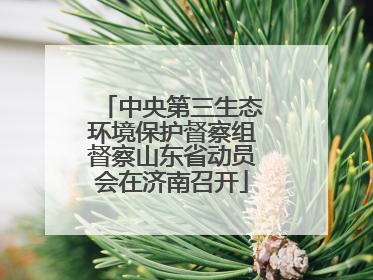 中央第三生态环境保护督察组督察山东省动员会在济南召开