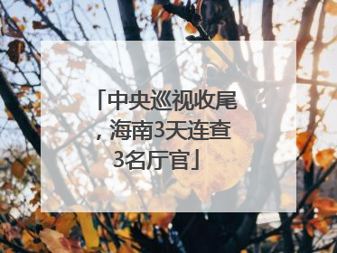 中央巡视收尾，海南3天连查3名厅官